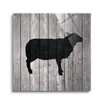 Barn Sheep  | 12x12 | Glass Plaque