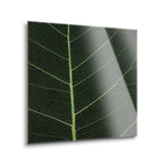 Bo Leaf I  | 12x12 | Glass Plaque