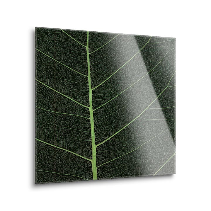 Bo Leaf I  | 12x12 | Glass Plaque