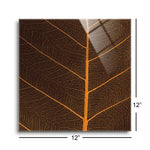 Bo Leaf III  | 12x12 | Glass Plaque