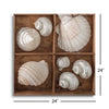 Seashells Treasures III  | 12x12 | Glass Plaque