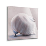 Moon Snail  | 12x12 | Glass Plaque