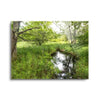 Reflecting Pool  | 12x16 | Glass Plaque