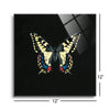 Butterfly on Black  | 12x12 | Glass Plaque