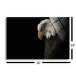 Eagle Bow  | 24x36 | Glass Plaque