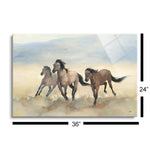 Wild Mustangs  | 24x36 | Glass Plaque