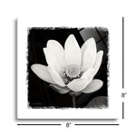 Lotus Flower I | 8x8 | Glass Plaque