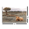 Highland Cow II  | 24x36 | Glass Plaque