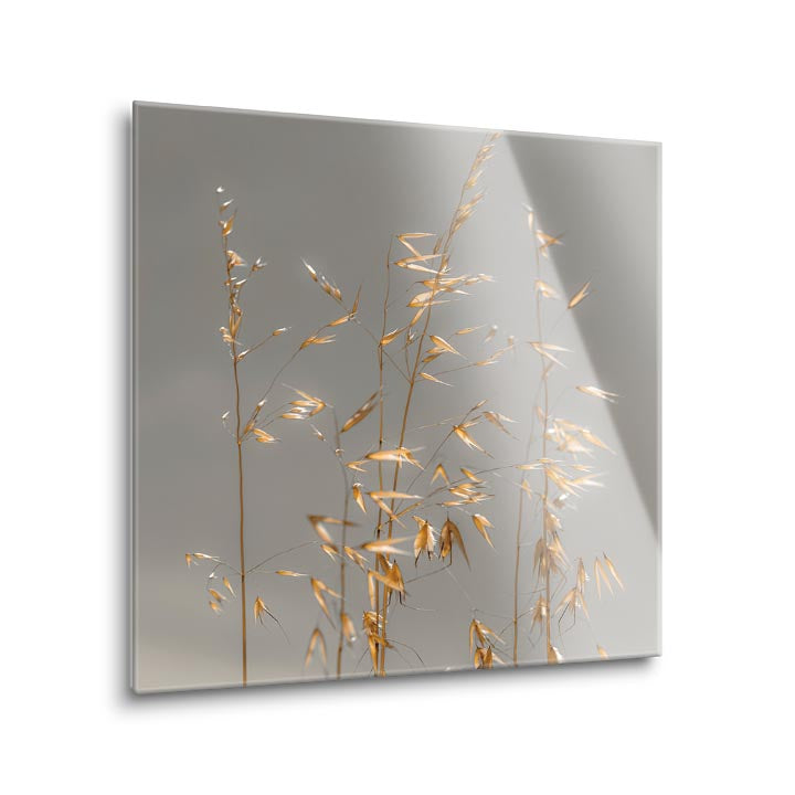 Shimmer  | 12x12 | Glass Plaque