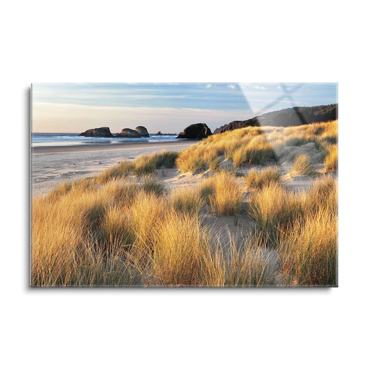 Dune Grass & Beach  | 24x36 | Glass Plaque