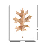Fallen Leaf I  | 12x16 | Glass Plaque