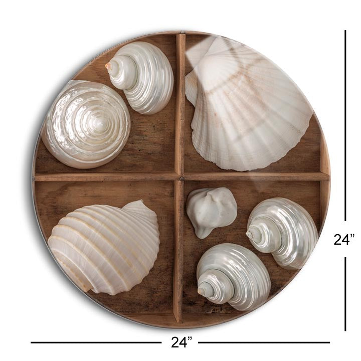 Seashells Treasures III  | 24x24 Circle | Glass Plaque