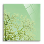 Cuckoo Flowers | 12x12 | Glass Plaque