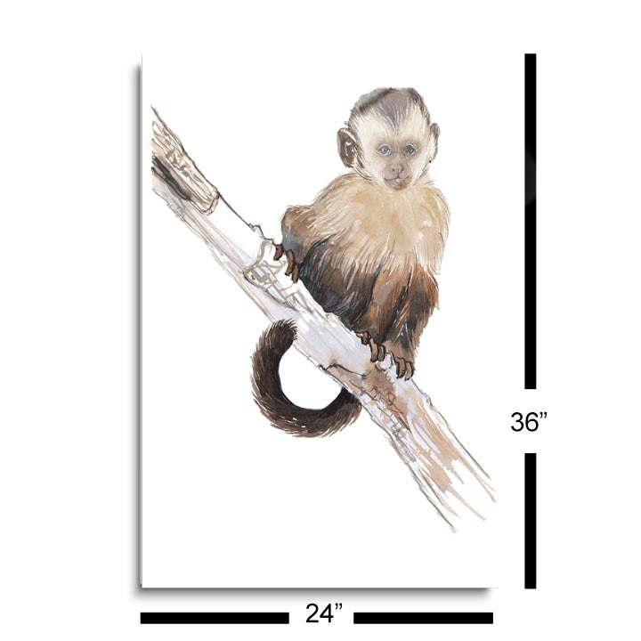 Baby Monkey  | 24x36 | Glass Plaque