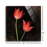 Species Tulips (RF 2 Red Tulips)  | 12x12 | Glass Plaque