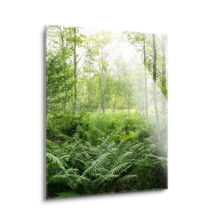 Woodlands  | 12x16 | Glass Plaque