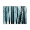 Spring Mist II  | 12x16 | Glass Plaque