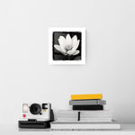 Lotus Flower I | 8x8 | Glass Plaque