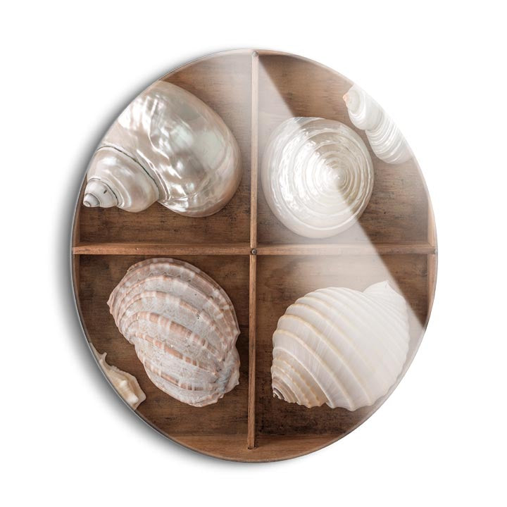 Seashells Treasures II  | 24x24 Circle | Glass Plaque