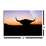 Bull Set  | 24x36 | Glass Plaque