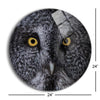Great Grey Owl  | 24x24 Circle | Glass Plaque