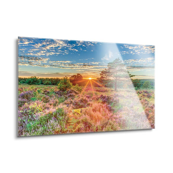 Heathland Sunset  | 24x36 | Glass Plaque