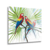 Parrots  | 12x12 | Glass Plaque