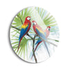 Parrots  | 24x24 Circle | Glass Plaque