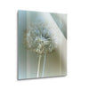 Flaura II  | 12x16 | Glass Plaque