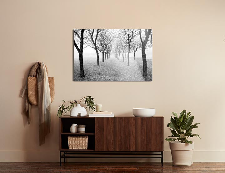 Tunnel of Trees  | 24x36 | Glass Plaque
