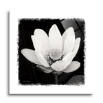 Lotus Flower I | 24x24 | Glass Plaque