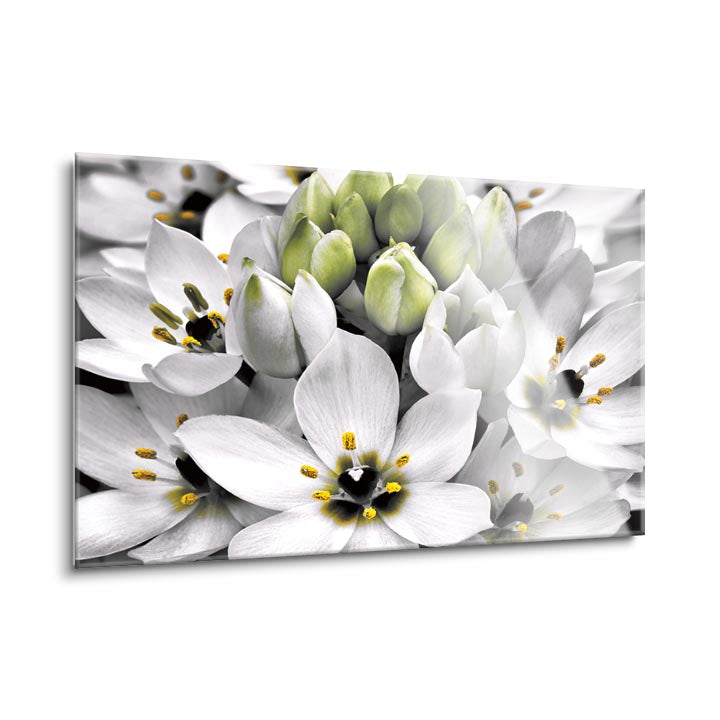 Blooming Stars  | 24x36 | Glass Plaque