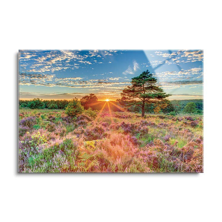 Heathland Sunset  | 24x36 | Glass Plaque
