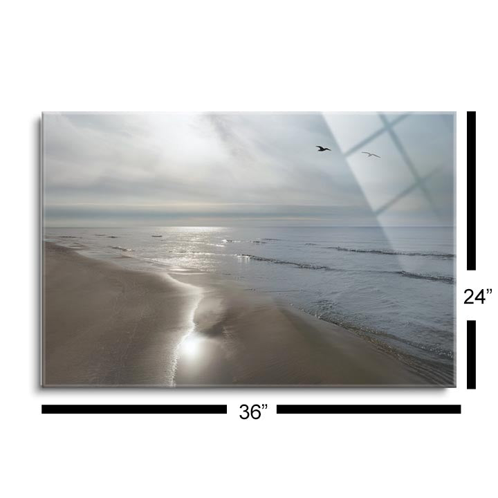 Beach Flight  | 24x36 | Glass Plaque