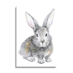 Baby Rabbit  | 24x36 | Glass Plaque