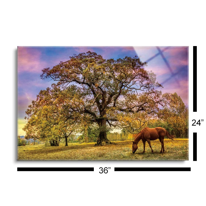 Under the Old Oak Tree  | 24x36 | Glass Plaque