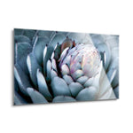 Blue Aloe  | 24x36 | Glass Plaque