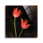 Species Tulips (RF 2 Red Tulips)  | 12x12 | Glass Plaque