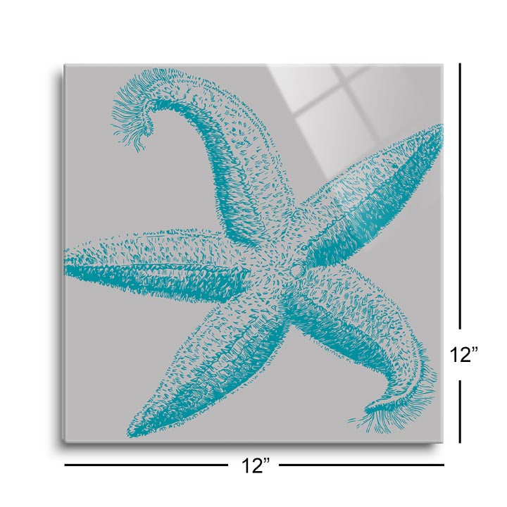 Sea Stars I  | 12x12 | Glass Plaque