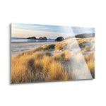 Dune Grass & Beach  | 24x36 | Glass Plaque