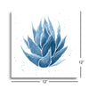 Midnight Succulent III  | 12x12 | Glass Plaque
