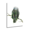 Owl  | 24x36 | Glass Plaque