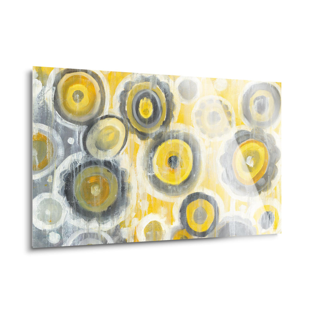 Abstract Circles Crop | 24x36 | Glass Plaque