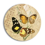 Vintage Gold Butterfly  | 24x24 Circle | Glass Plaque