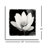 Lotus Flower I | 24x24 | Glass Plaque