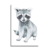 Baby Raccoon  | 24x36 | Glass Plaque