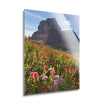 Boulder Pass Wildflowers | 24x36 | Glass Plaque
