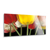 Sunshine Tulips  | 12x24 | Glass Plaque