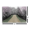 Apple Blossom Lane  | 24x36 | Glass Plaque