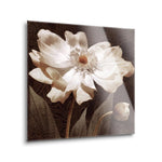 Paisley Blossom I  | 12x12 | Glass Plaque